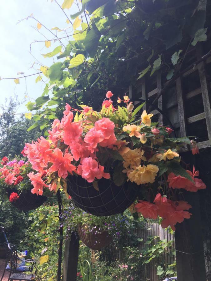38 Whitehall Road Bed & Breakfast 3*